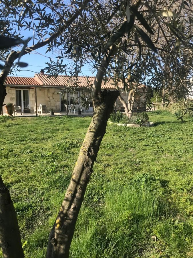 Mazet en Camargue Villa Arles Dış mekan fotoğraf